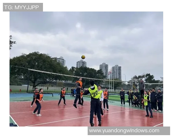 重庆排球队的拼搏之路与荣耀时刻的精彩回顾