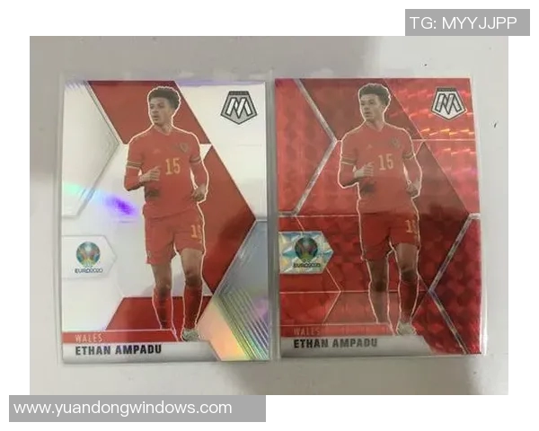 马赛克足球明星背后的故事与成就揭秘，探索他们的职业生涯与个人魅力