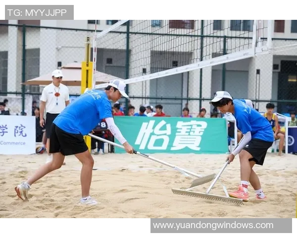 排球心理素质排行榜揭晓广州排球队荣登第十位展现团队实力与韧性