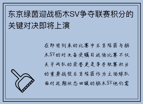 东京绿茵迎战枥木SV争夺联赛积分的关键对决即将上演